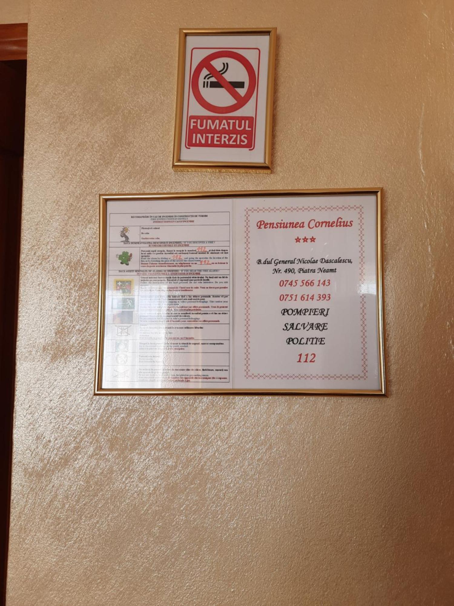 Pensiunea Cornelius Piatra Neamţ Екстериор снимка
